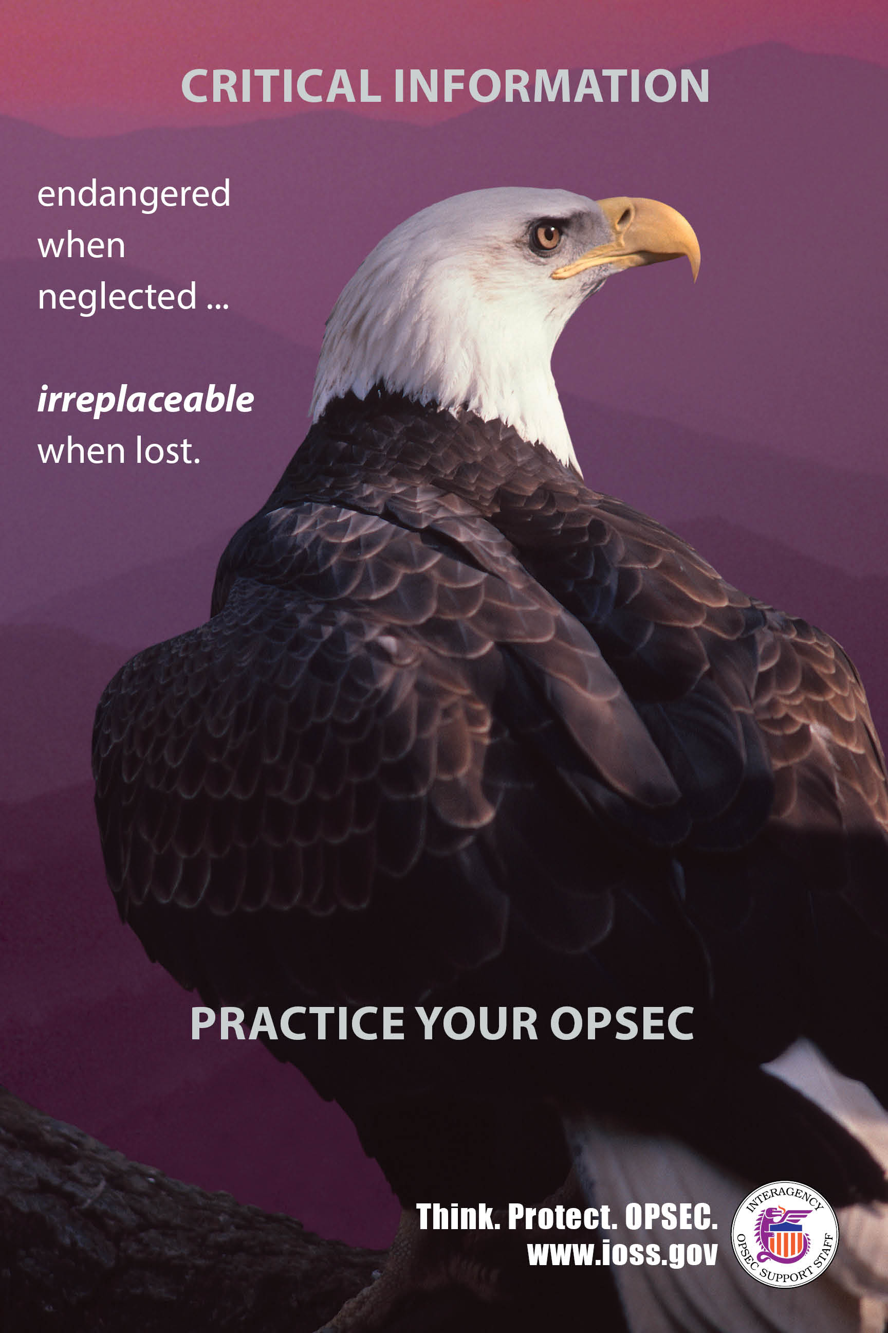 A poster for Protecting OPSEC